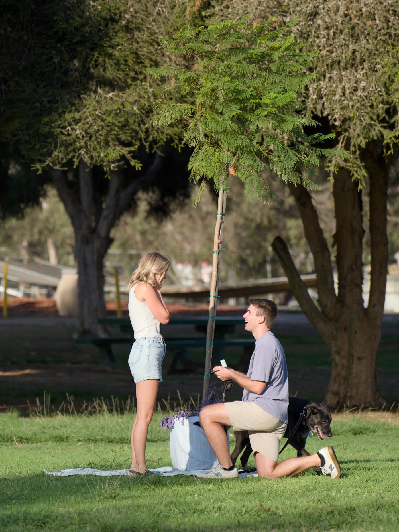 Zach down on one knee as Camille brings her hands to her face