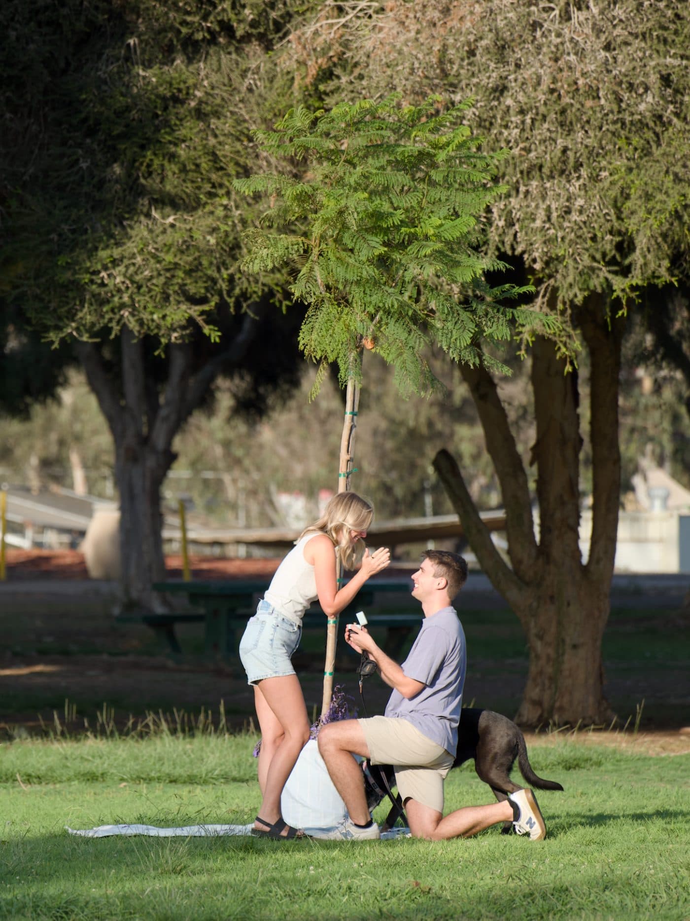 Camille stepping toward Zach as he kneels in the grass