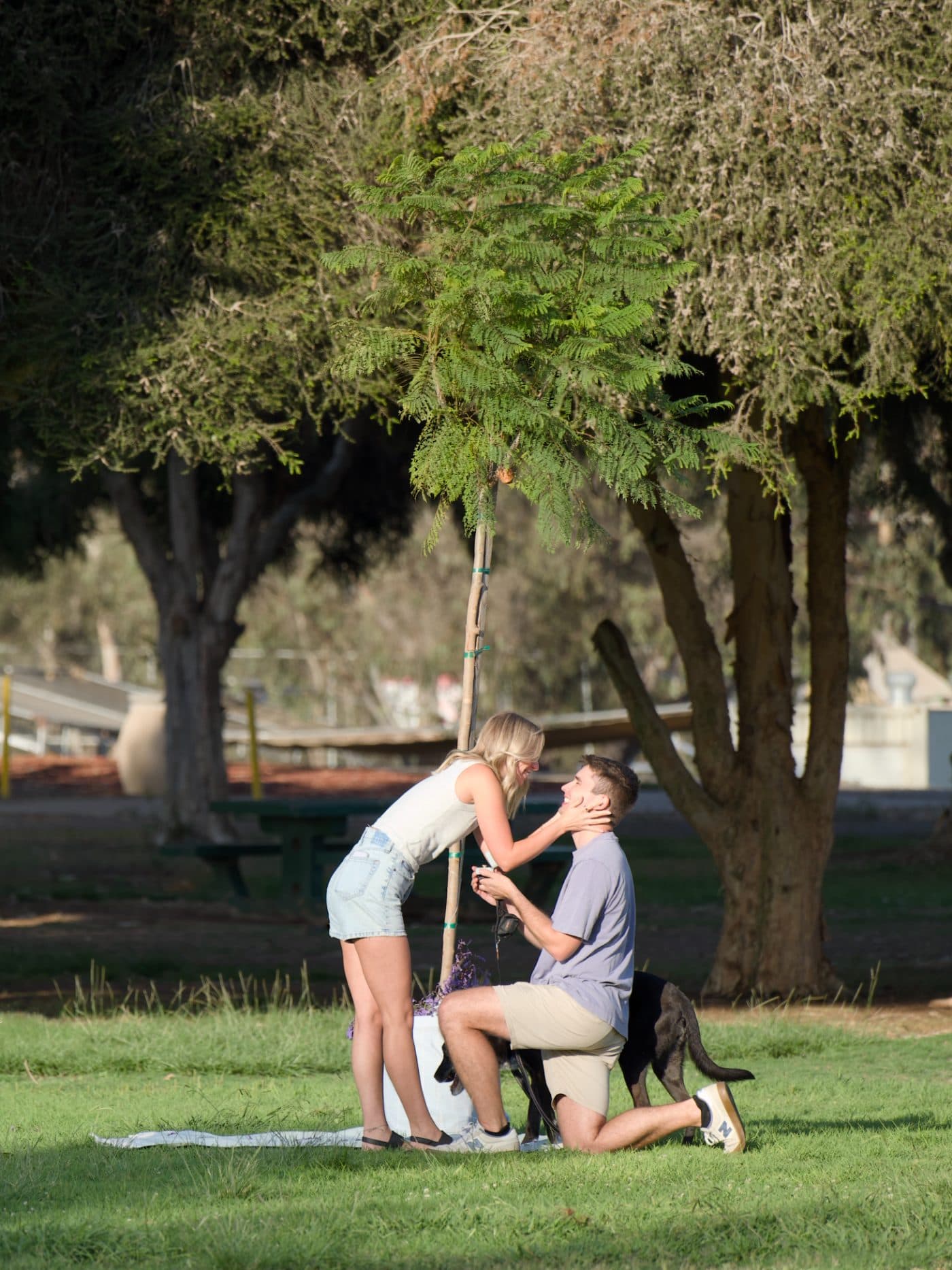 Camille reaching for Zach as he kneels, ring in hand